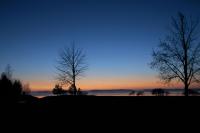 A fall photo. After the sunset the leafless trees shiver in the cold fall air while a soft fog is raising from the ice covered sea.